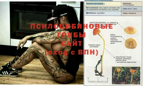 прущая мука Покачи