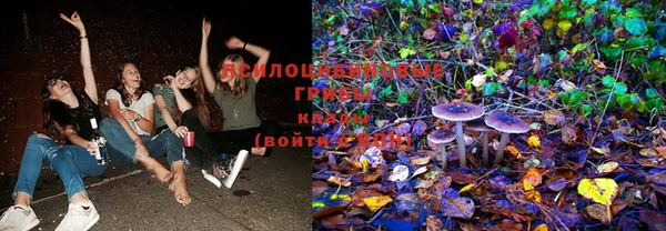 прущая мука Покачи