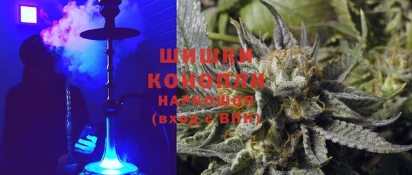 круглые Пересвет