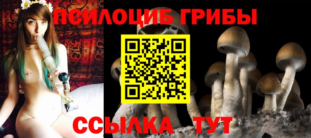 Галлюциногенные грибы мицелий Кушва